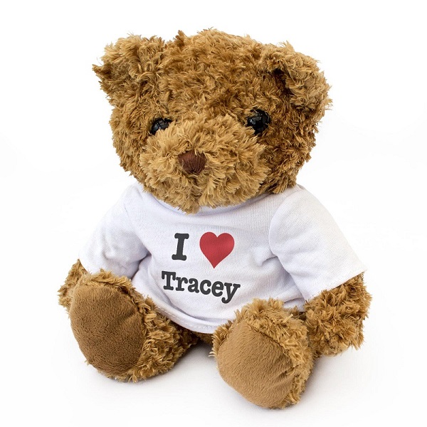 customized novelty promotional logo stuffed plush teddy bear toys