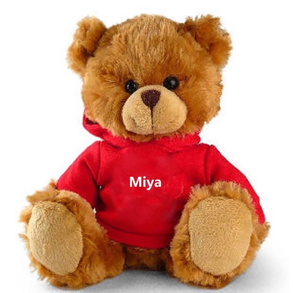 China Branded logo design customized hoodie plush teddy bear Toys